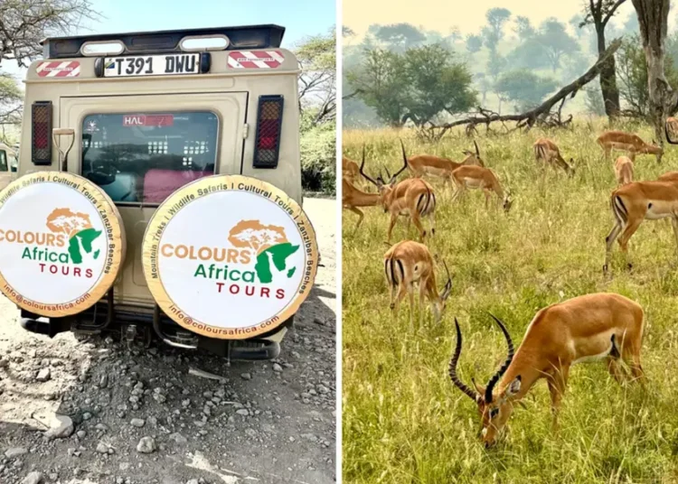 We went on our first African safari. Our trip would’ve been better if we’d known these 5 things before we left.