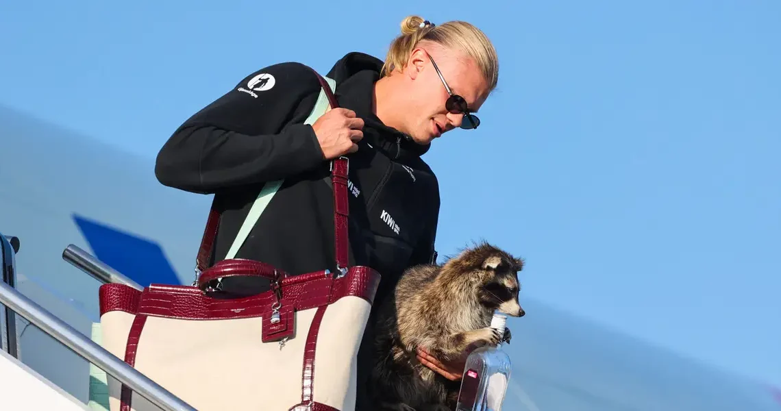 Norway’s Erling Haaland brought a $750 taxidermy raccoon home from the World Cup