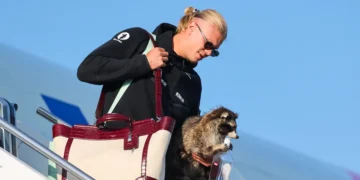 Norway’s Erling Haaland brought a $750 taxidermy raccoon home from the World Cup