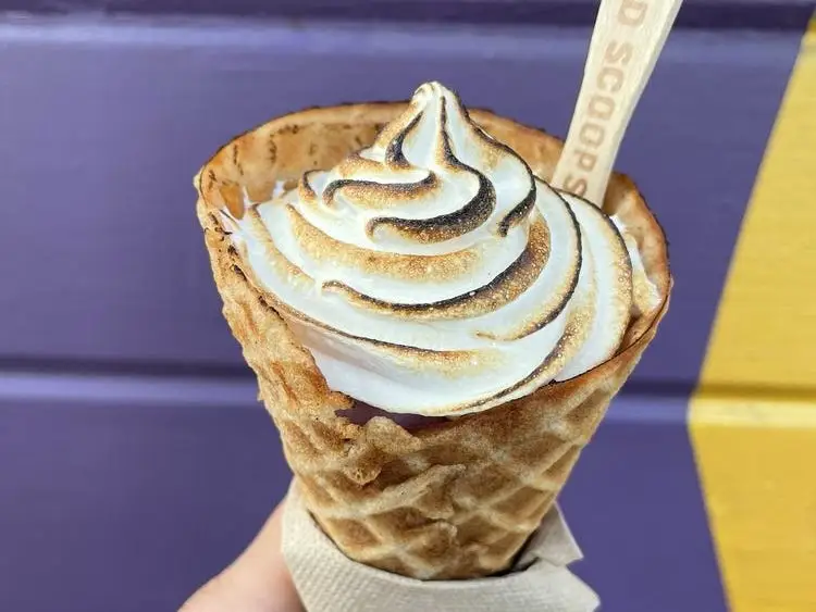 Wild Scoops