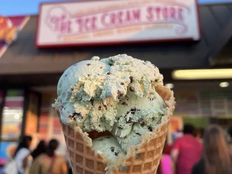 The Ice Cream Store