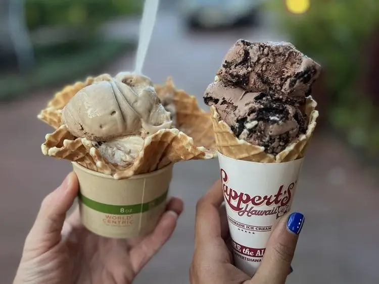 Lappert's Hawaii