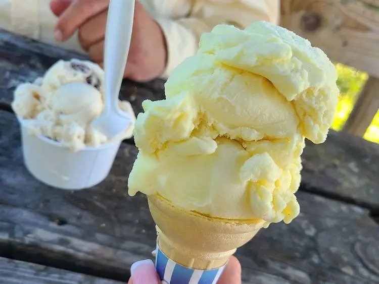 Gray's Ice Cream