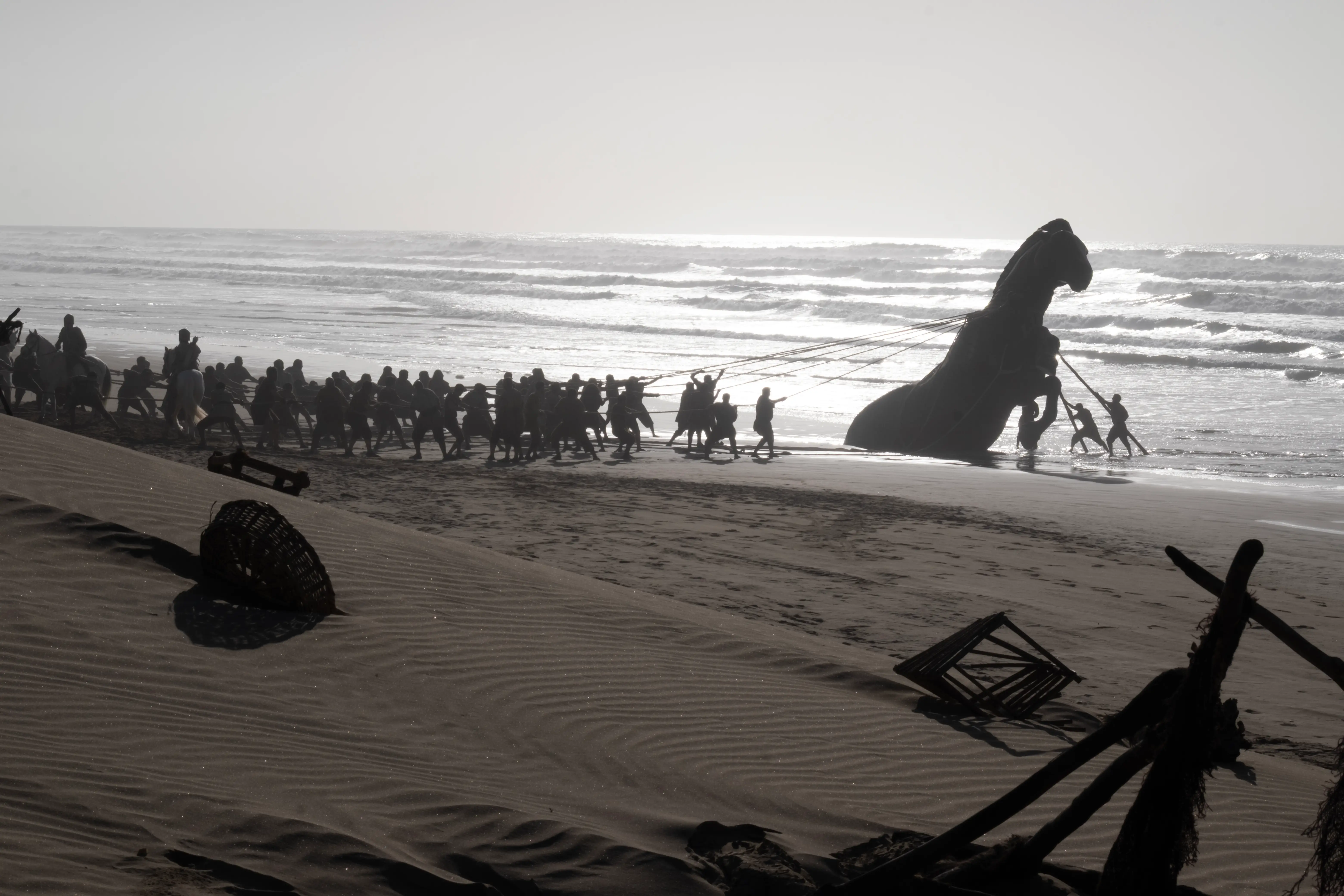 Trojan Horse being pulled off a beach