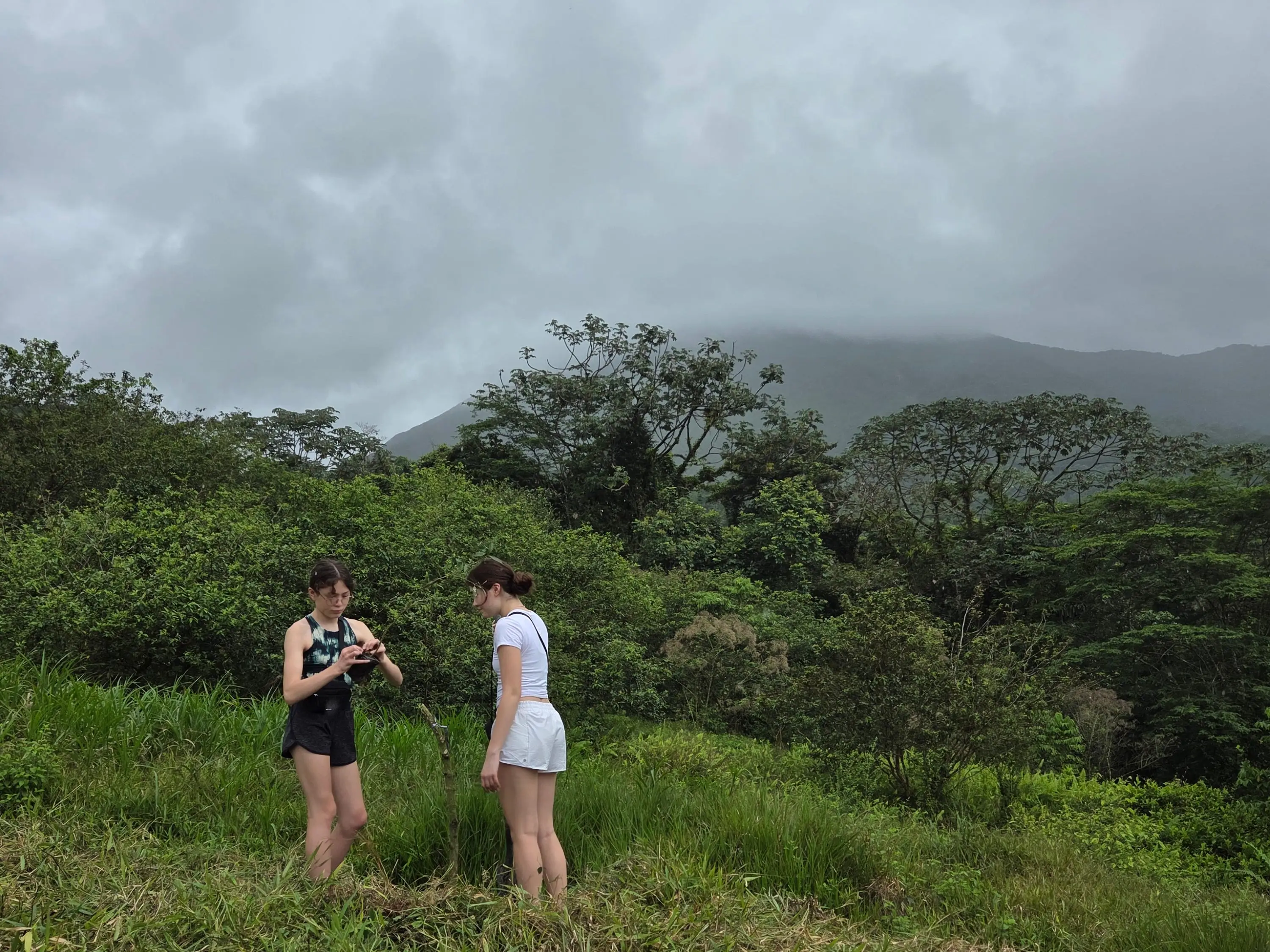 The author's family planted dozens of trees, through their hotel's reforestation program, and will be able to watch them grow over the years through satellite images.