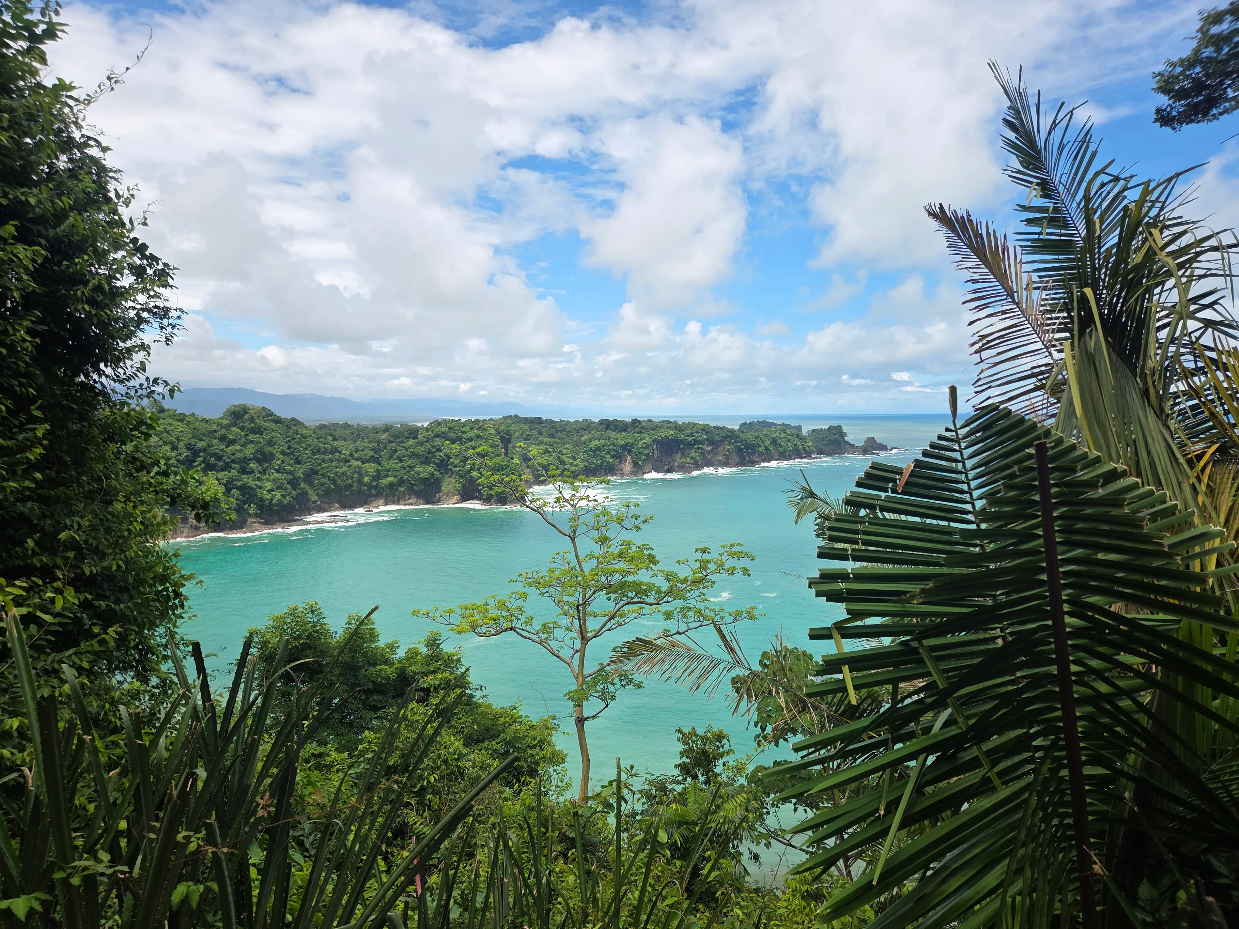 The family hiked to beaches inside Manuel Antonio National Park.