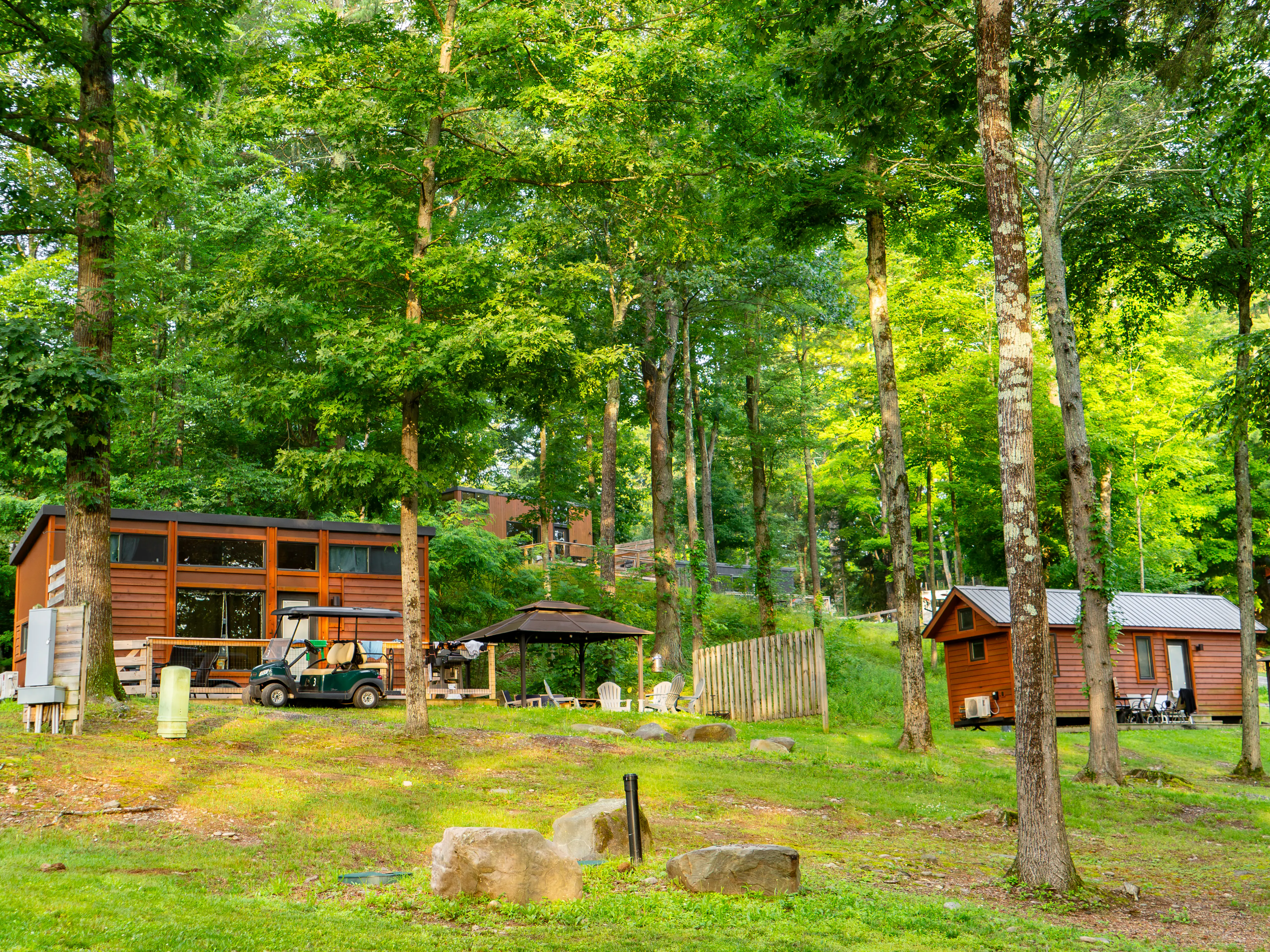 Wooden tiny homes on wheels and a golf cart sit among tall trees at a green forest campground.