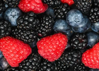 The Cyclospora outbreak has every toddler parent asking the same question: Are berries safe?
