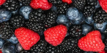The Cyclospora outbreak has every toddler parent asking the same question: Are berries safe?