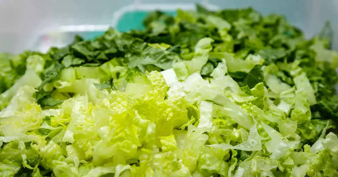 Shredded lettuce supplied to Taco Bell identified as a source of cyclospora that causes watery diarrhea