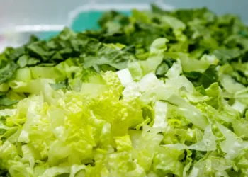 Shredded lettuce supplied to Taco Bell identified as a source of cyclospora that causes watery diarrhea