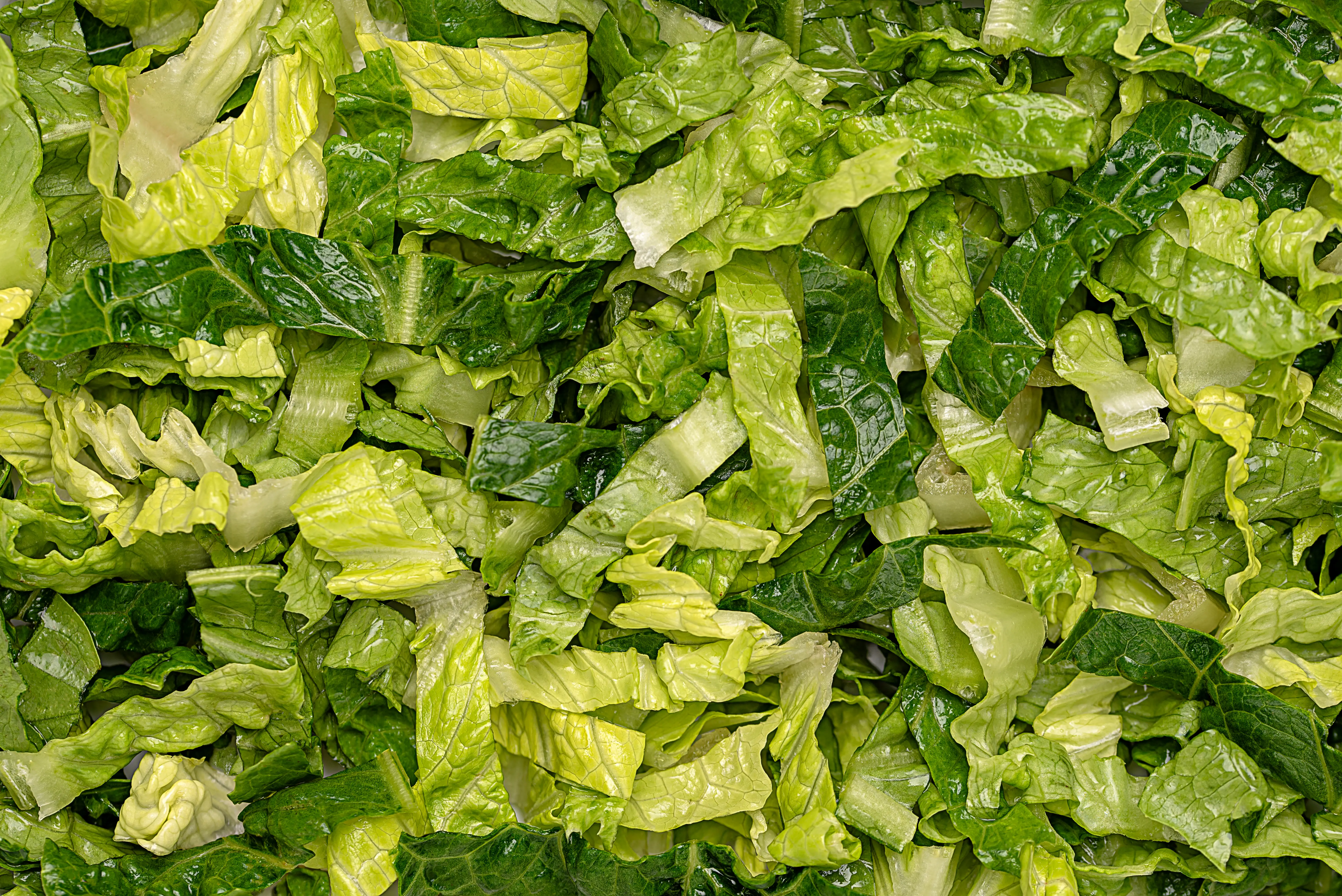 chopped lettuce