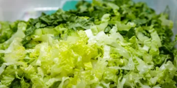The FDA named a source of the diarrhea parasite outbreak. The saga isn’t over.