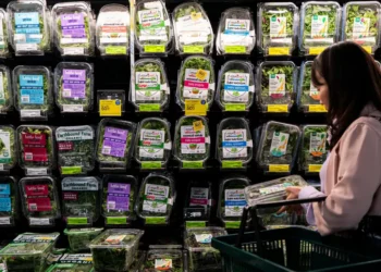 Taylor Farms pulls iceberg lettuce, says it’s ‘deeply concerned’ after cyclospora outbreak