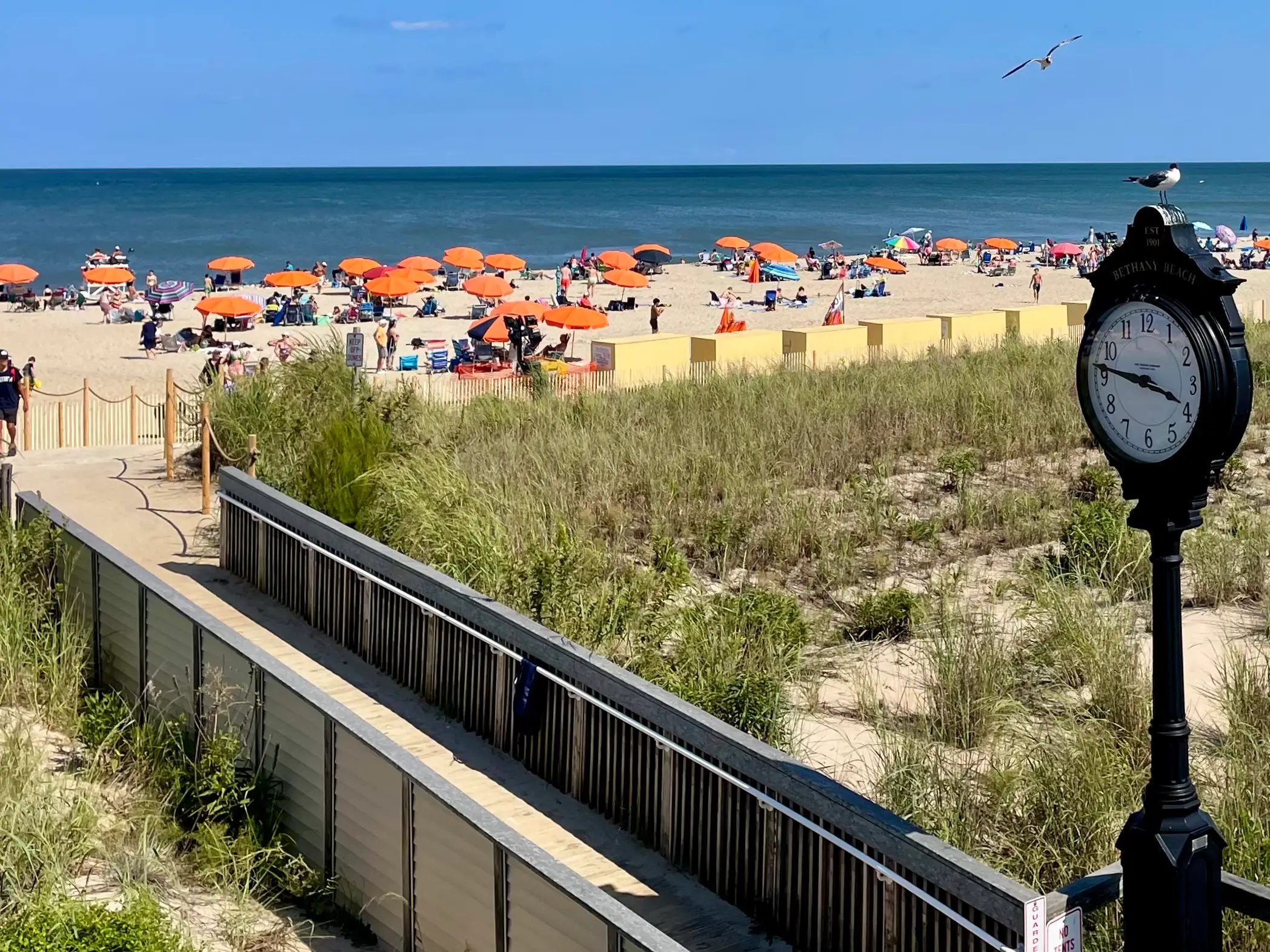 A view of a crowded shoreline with orange umbrellas at Bethany Beach in Delaware.
