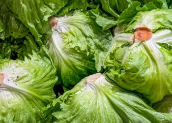 The cyclospora outbreak lawsuits have begun