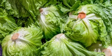 The cyclospora outbreak lawsuits have begun