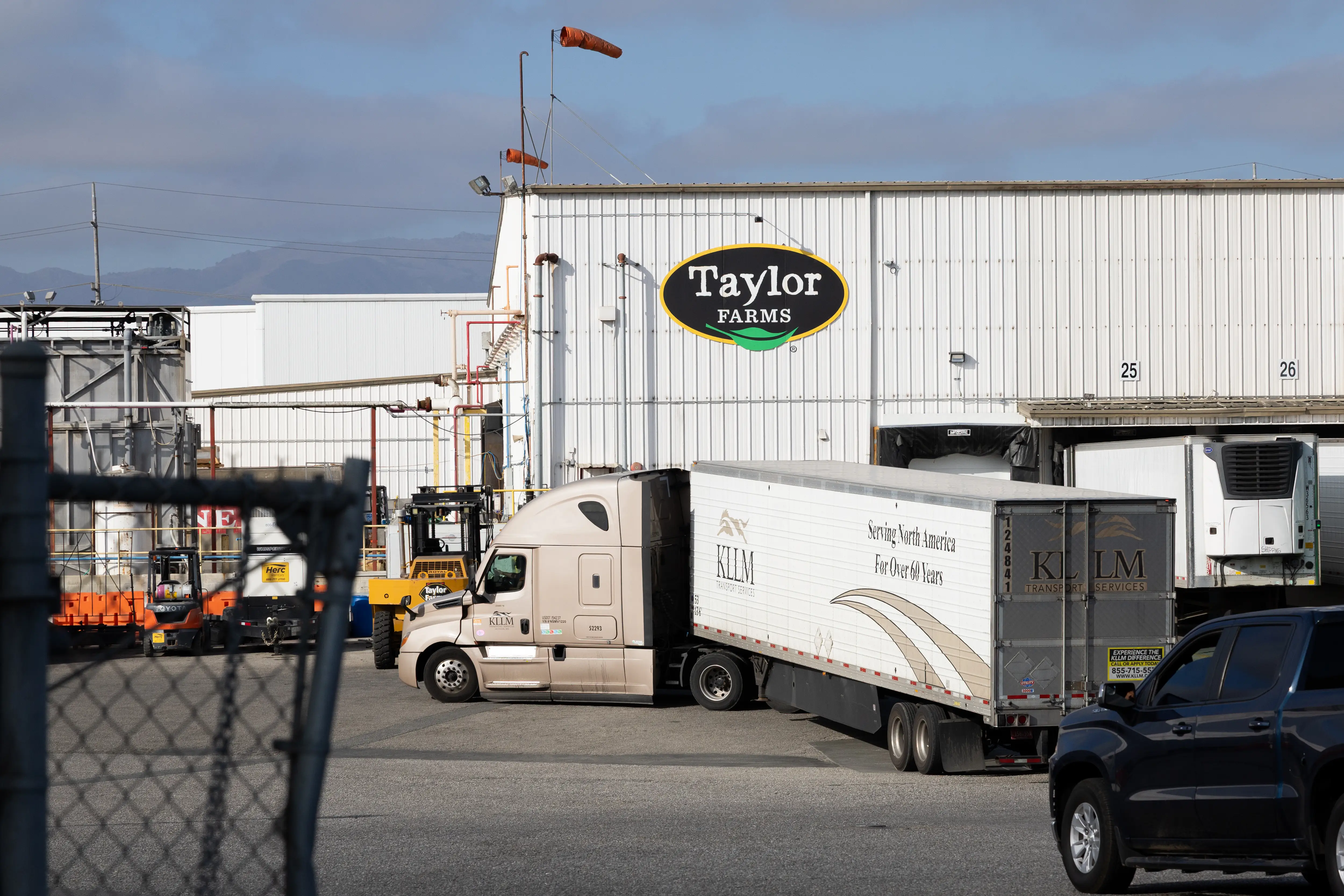 Taylor Farms