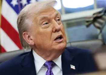 Top Trump AI safety director leaves job after 3 months