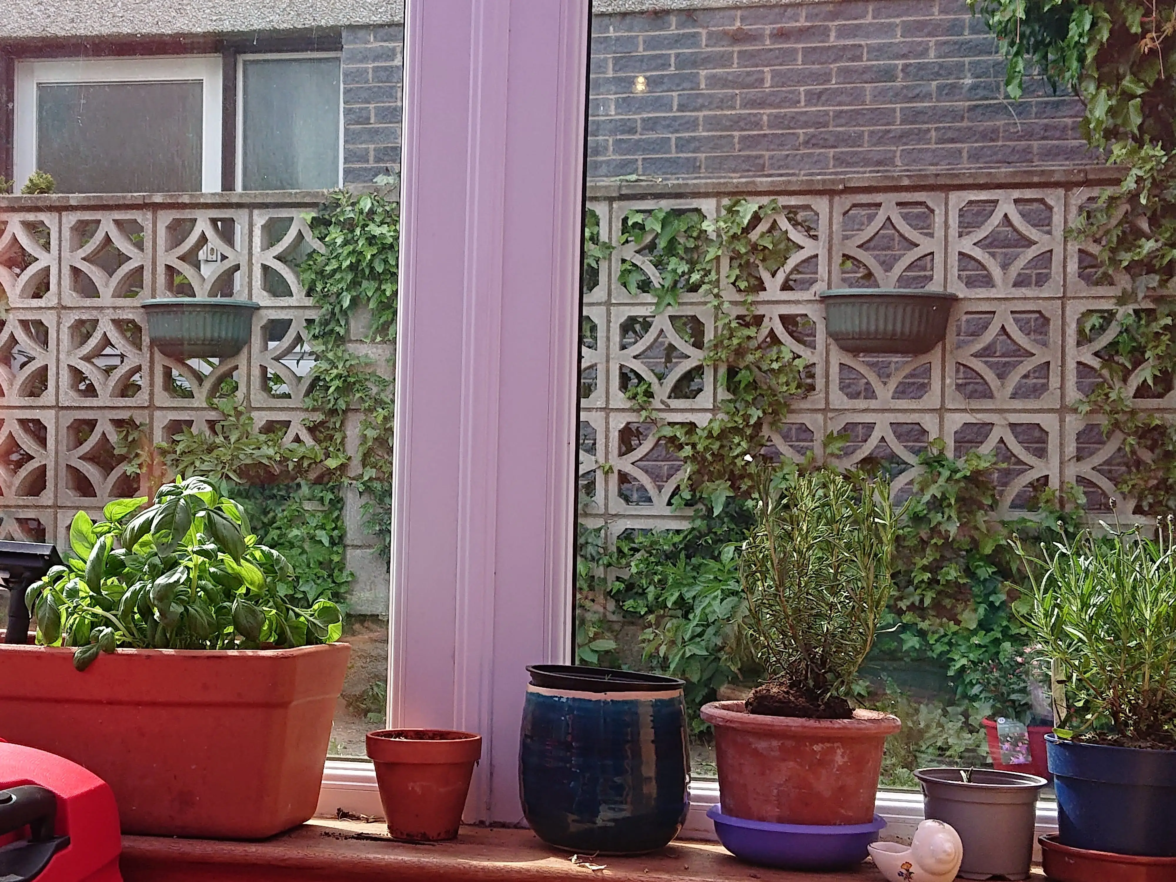 Several plants sit on a windowsill in the home, facing an outdoor garden.