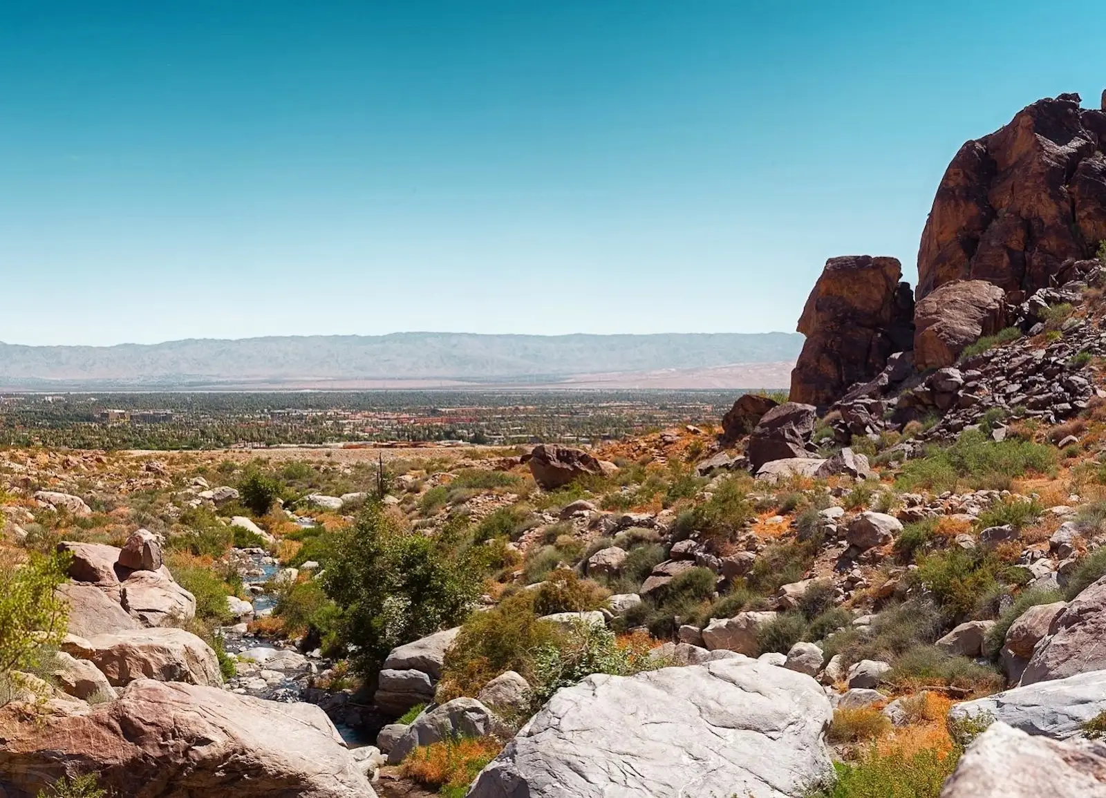 A rocky desert canyon overlooking a palm-filled valley and distant mountains.