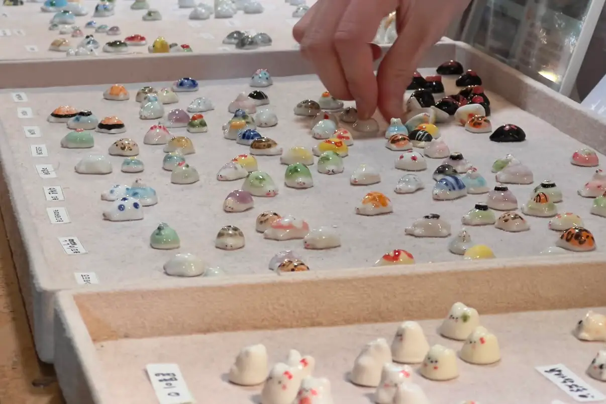 Selynn Hwang's turtles.