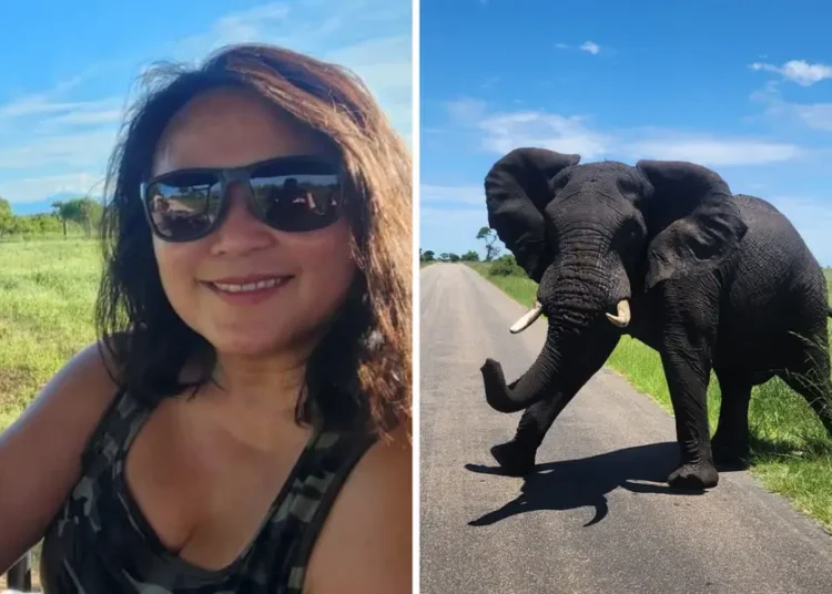 I took my husband on an epic safari adventure for his 50th birthday. It cost less than expected, and we had a blast.