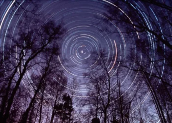 AI’s new North Star: Intelligence per dollar