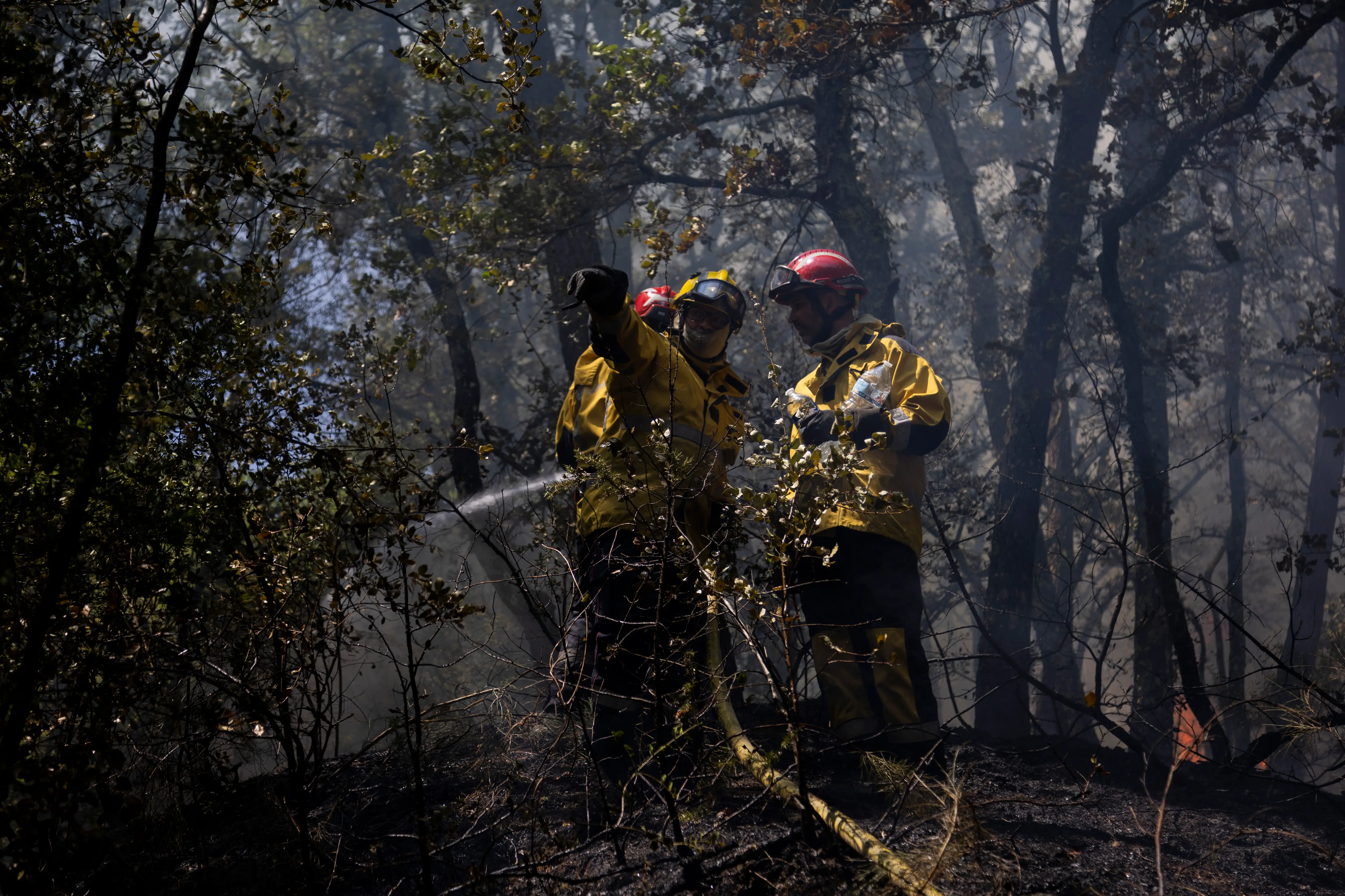 Firefighters coordinate wildfire suppression operations while extinguishing remaining hotspots near Domaine de la Marseillaise in Ponteves, Var, France.