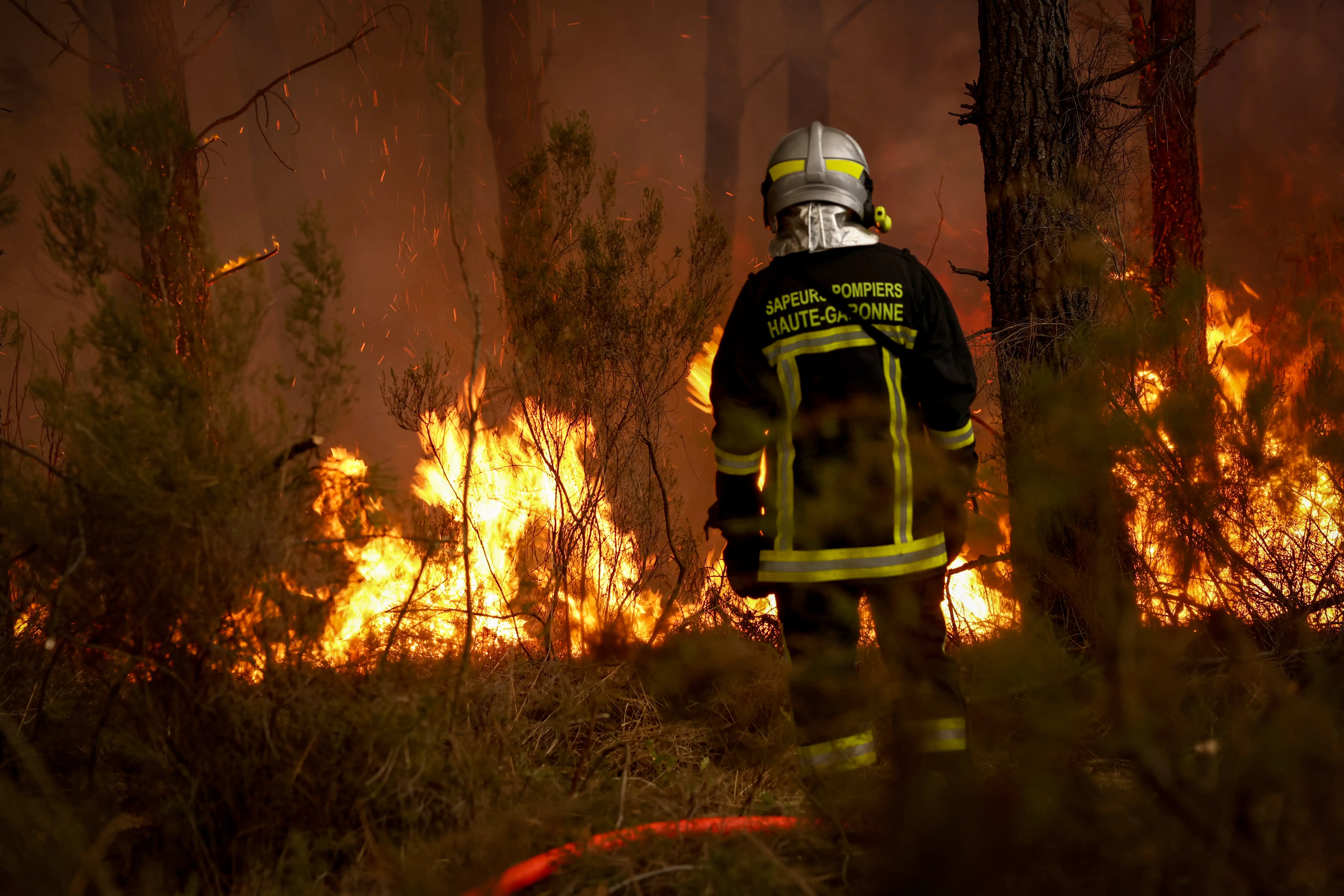 A firefighter battles a forest fire in France.