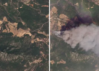 Before-and-after satellite images show the staggering toll of France’s worst wildfire season on record