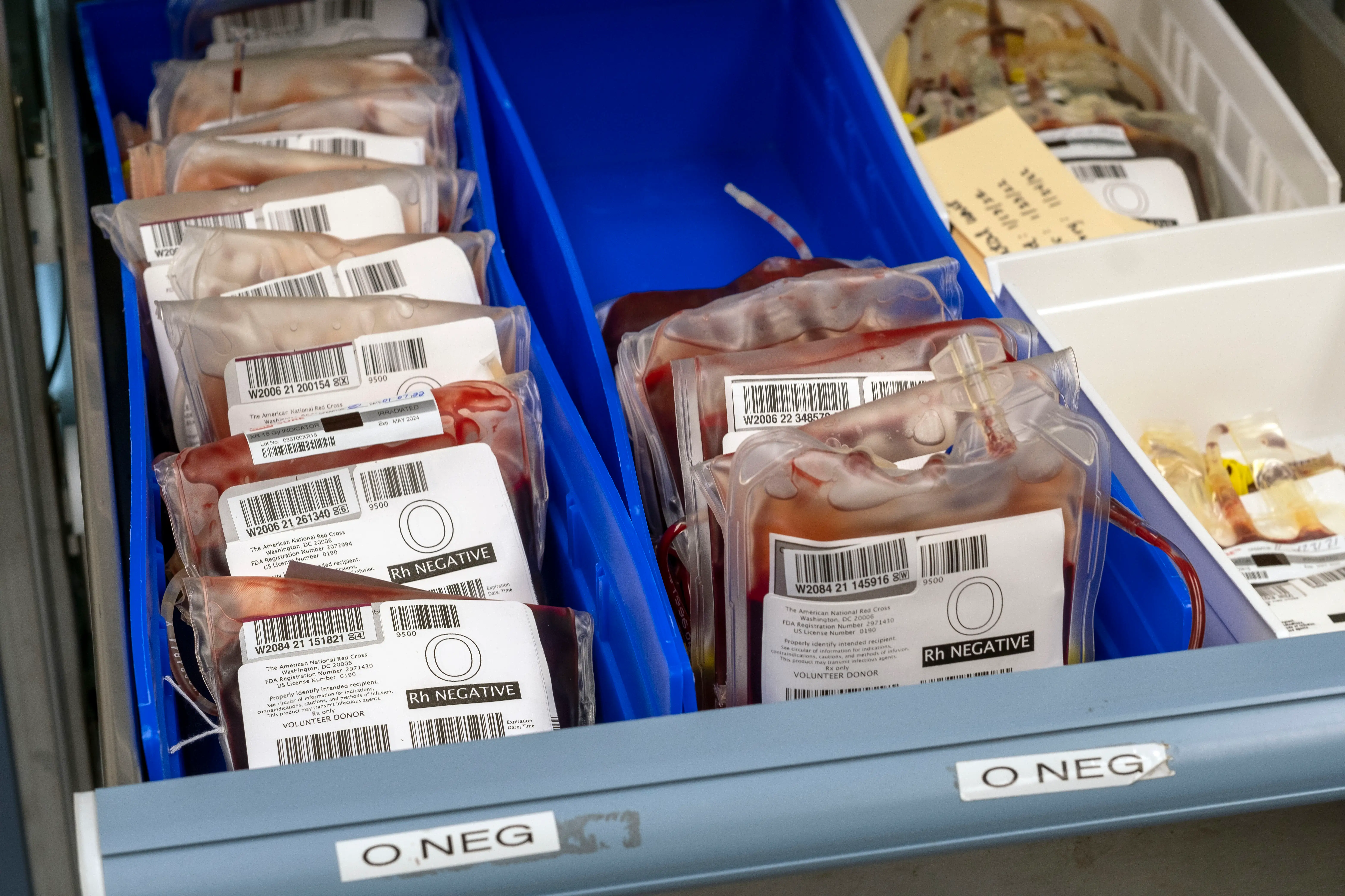 Blood bags