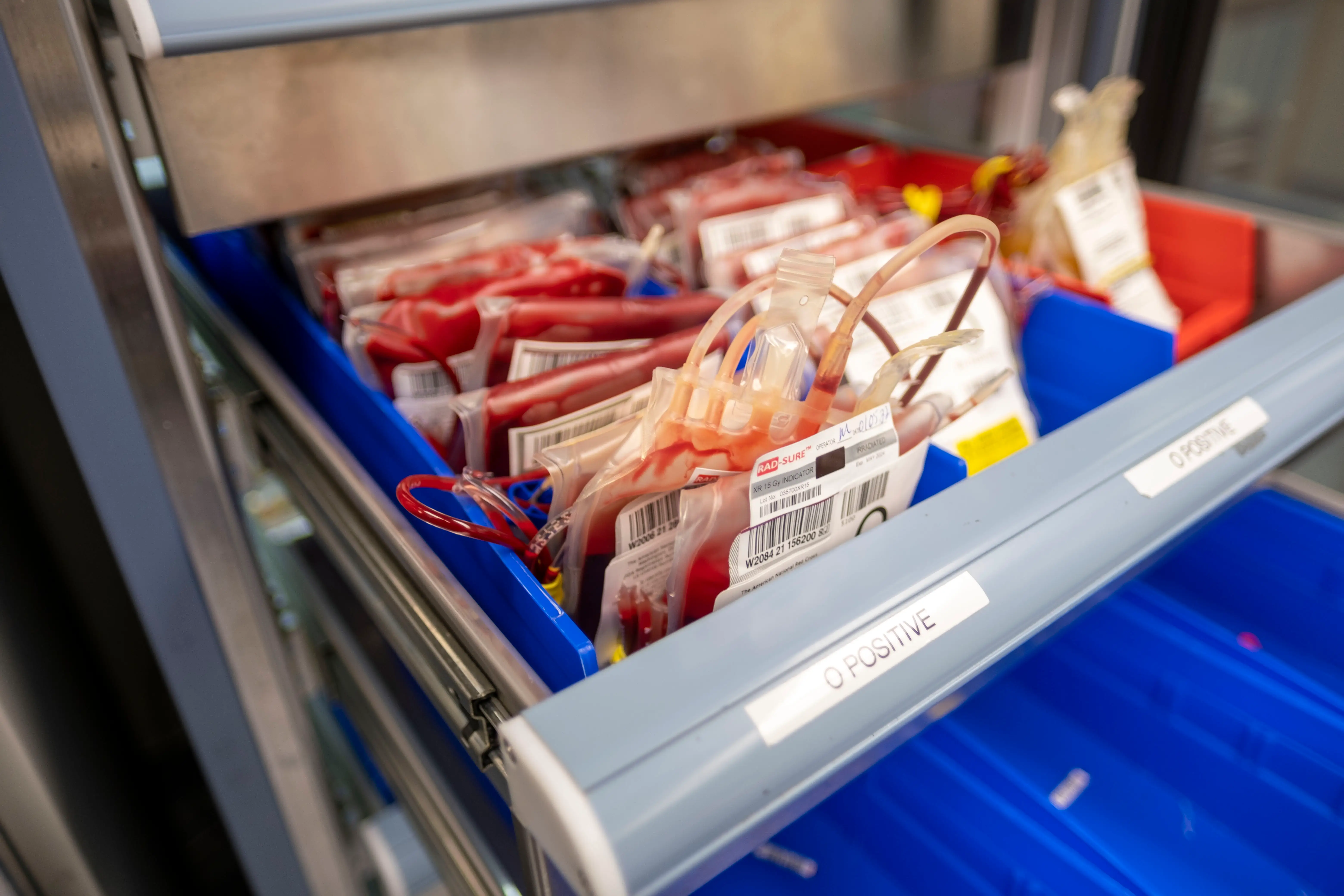 blood bags