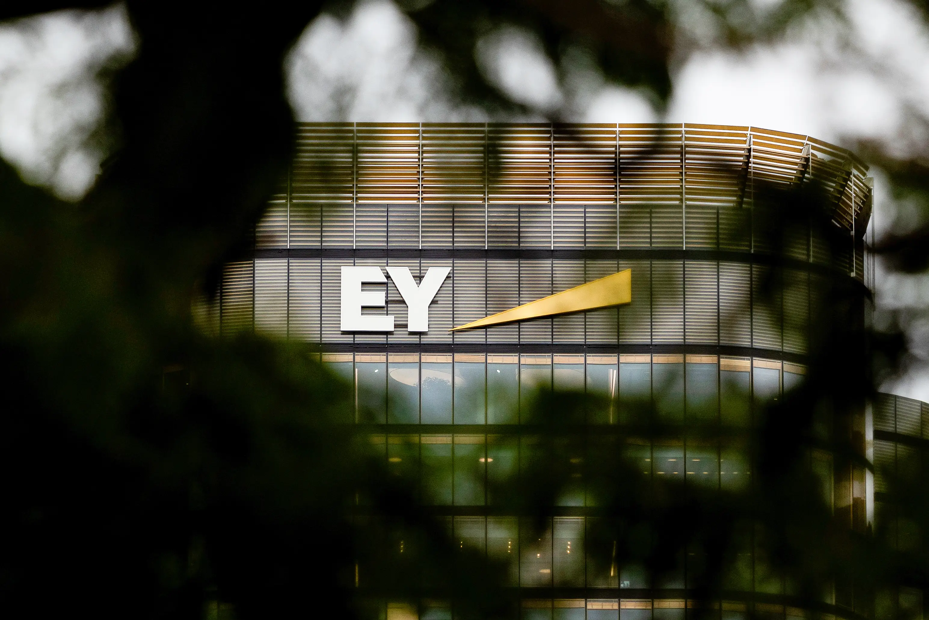 EY office