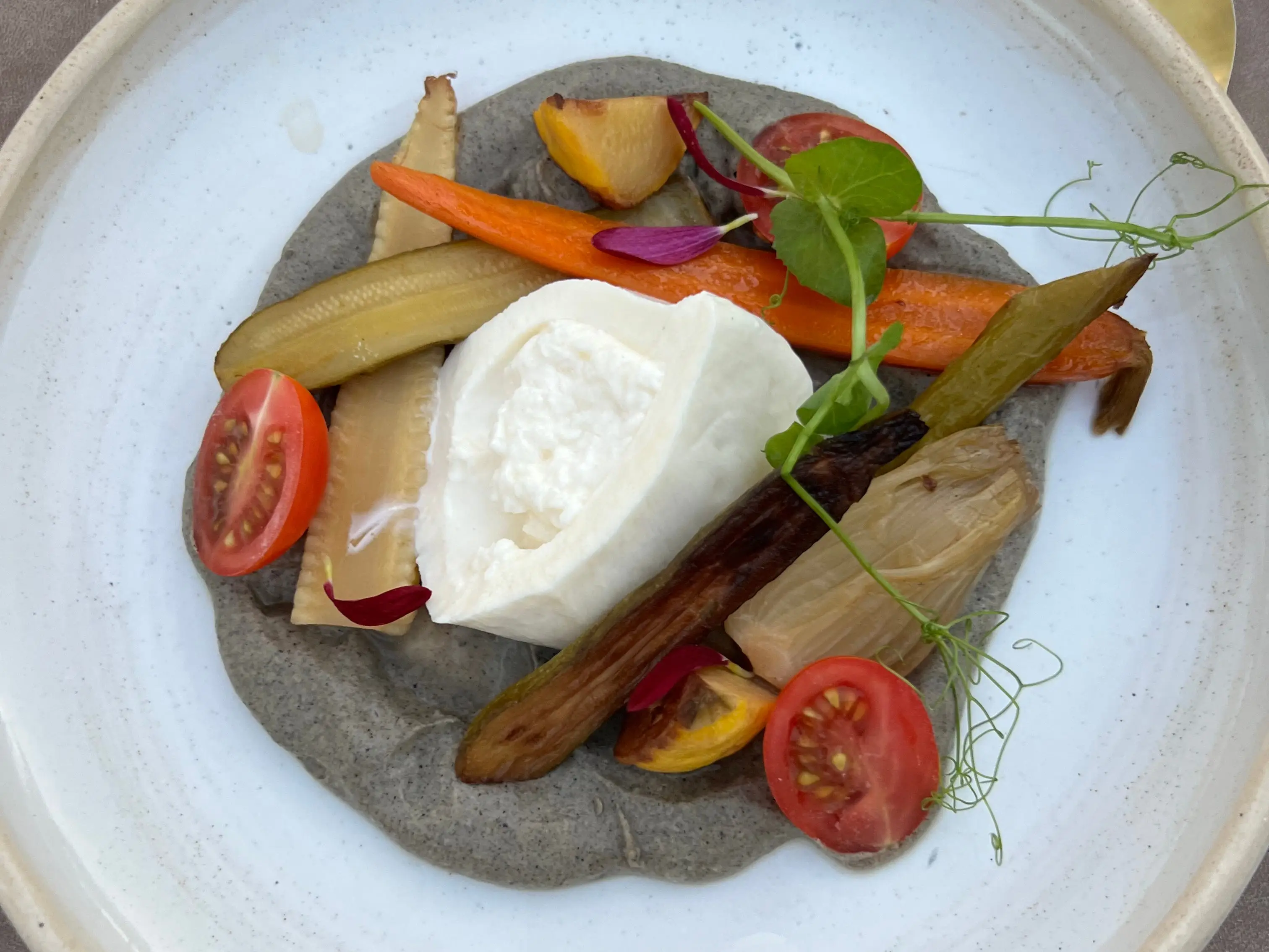 Plated soft white cheese with roasted vegetables and tomatoes on a gray puree in a white bowl.