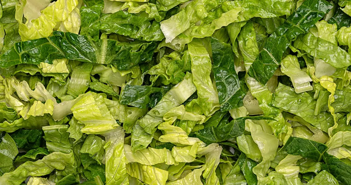 The parasite panic didn’t stop thousands of nutrition experts from chowing down on salad