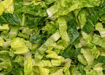 The parasite panic didn’t stop thousands of nutrition experts from chowing down on salad
