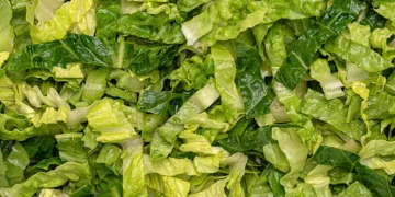 The parasite panic didn’t stop thousands of nutrition experts from chowing down on salad
