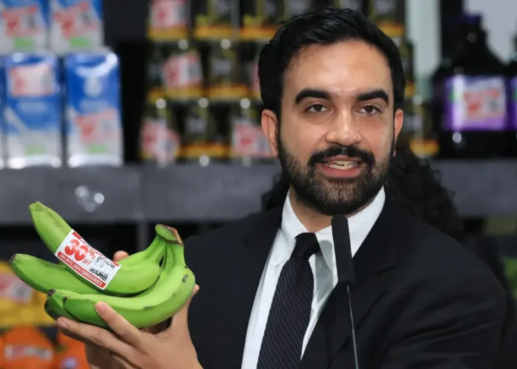 30% savings and an NYC private label: What to know about Mamdani’s city-run grocery stores