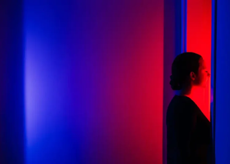 Consultants have found an unlikely new career path: policing AI