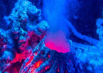 How AI Helped Scientists Find 73 Unknown Volcanic Calderas Beneath Earth’s Oceans