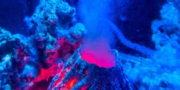 How AI Helped Scientists Find 73 Unknown Volcanic Calderas Beneath Earth’s Oceans