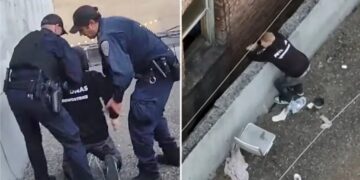 Reno man charged in gruesome kitten killing after San Francisco rooftop arrest