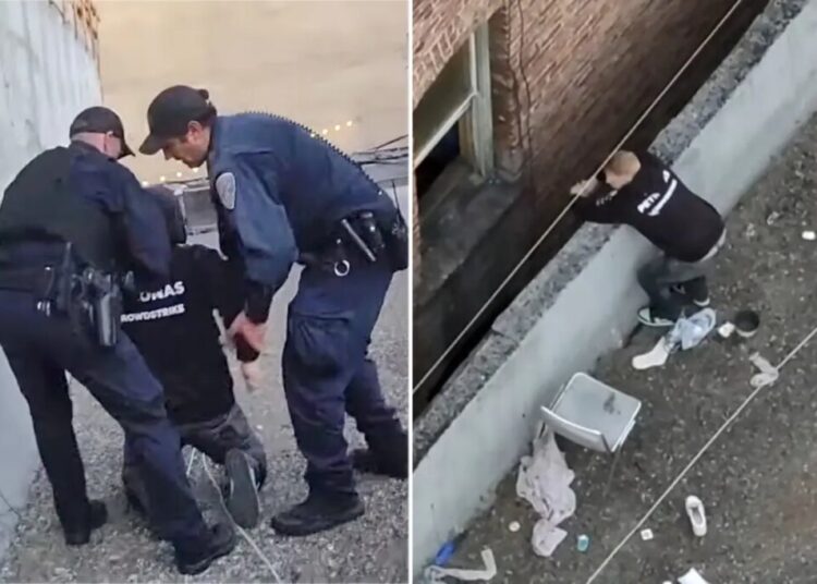 Reno man charged in gruesome kitten killing after San Francisco rooftop arrest