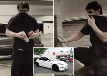 SoCal police hunting for Tesla bandit wanted for vandalizing more than a dozen vehicles in a week