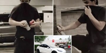 SoCal police hunting for Tesla bandit wanted for vandalizing more than a dozen vehicles in a week