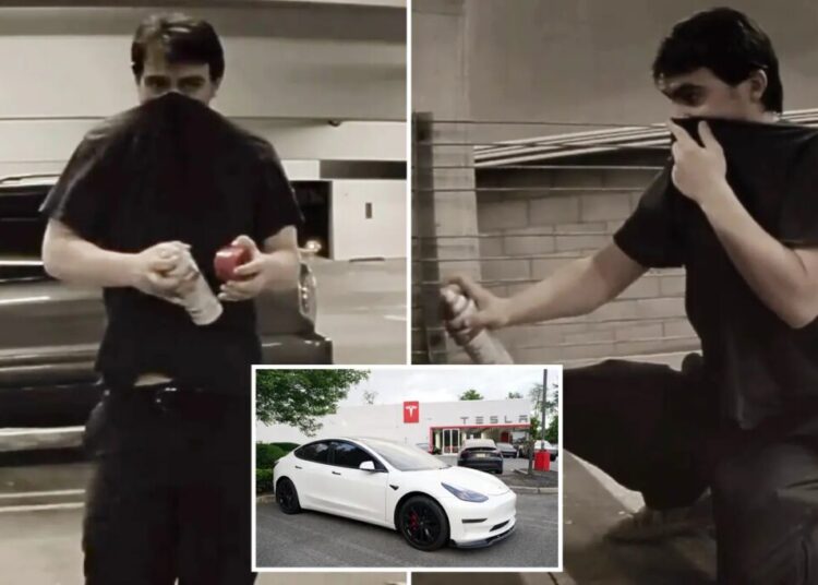 SoCal police hunting for Tesla bandit wanted for vandalizing more than a dozen vehicles in a week