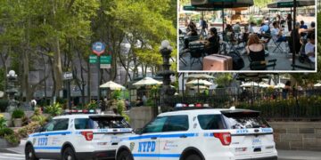 NYC homeless man hurls cell phone at baby in stroller during Bryant Park horror attack: cops