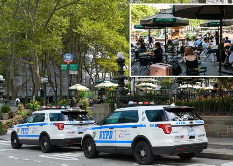 NYC homeless man hurls cell phone at baby in stroller during Bryant Park horror attack: cops