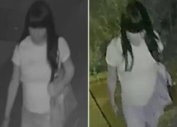 Police searching for creep who raped boy, 15, in back of NYC home
